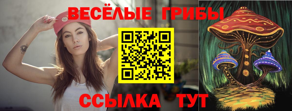 Галлюциногенные грибы ЛСД Чайковский