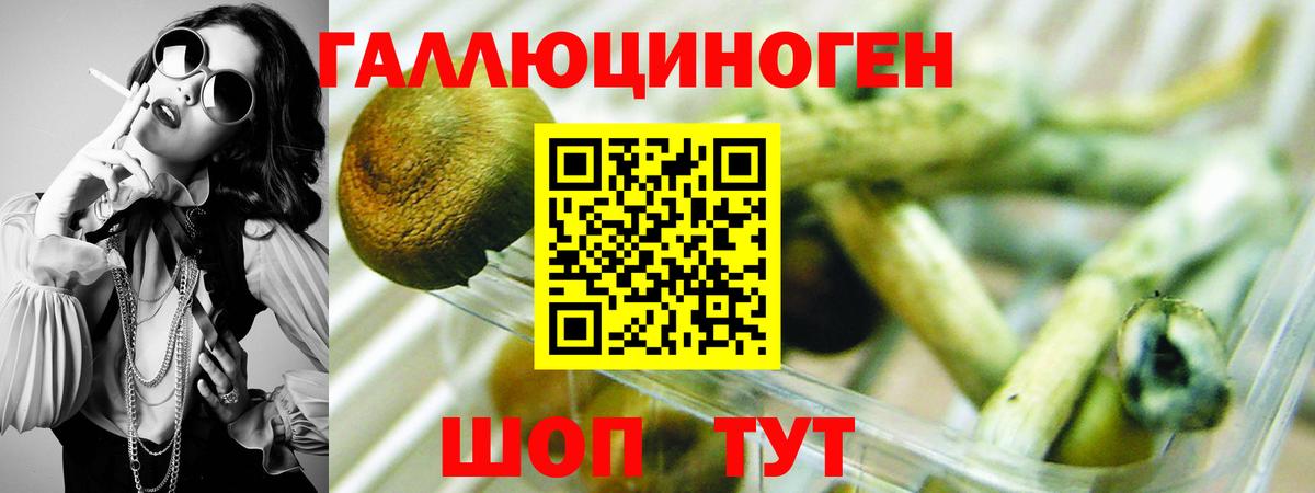 Псилоцибиновые грибы мухоморы  Вход с VPN  Чайковский 